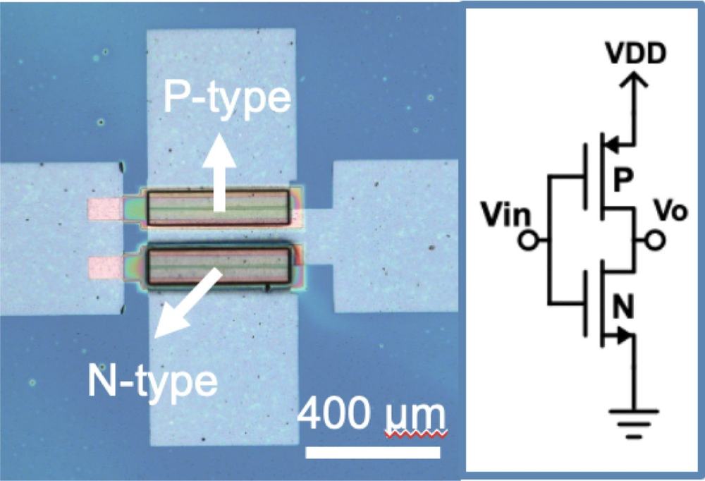 Stretchable complementary inverter array