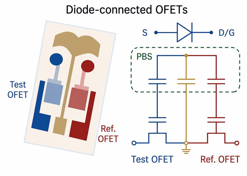 Diode-connected OFET biosensor schematic